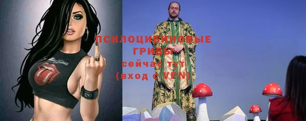 мяу мяу мука Алексин